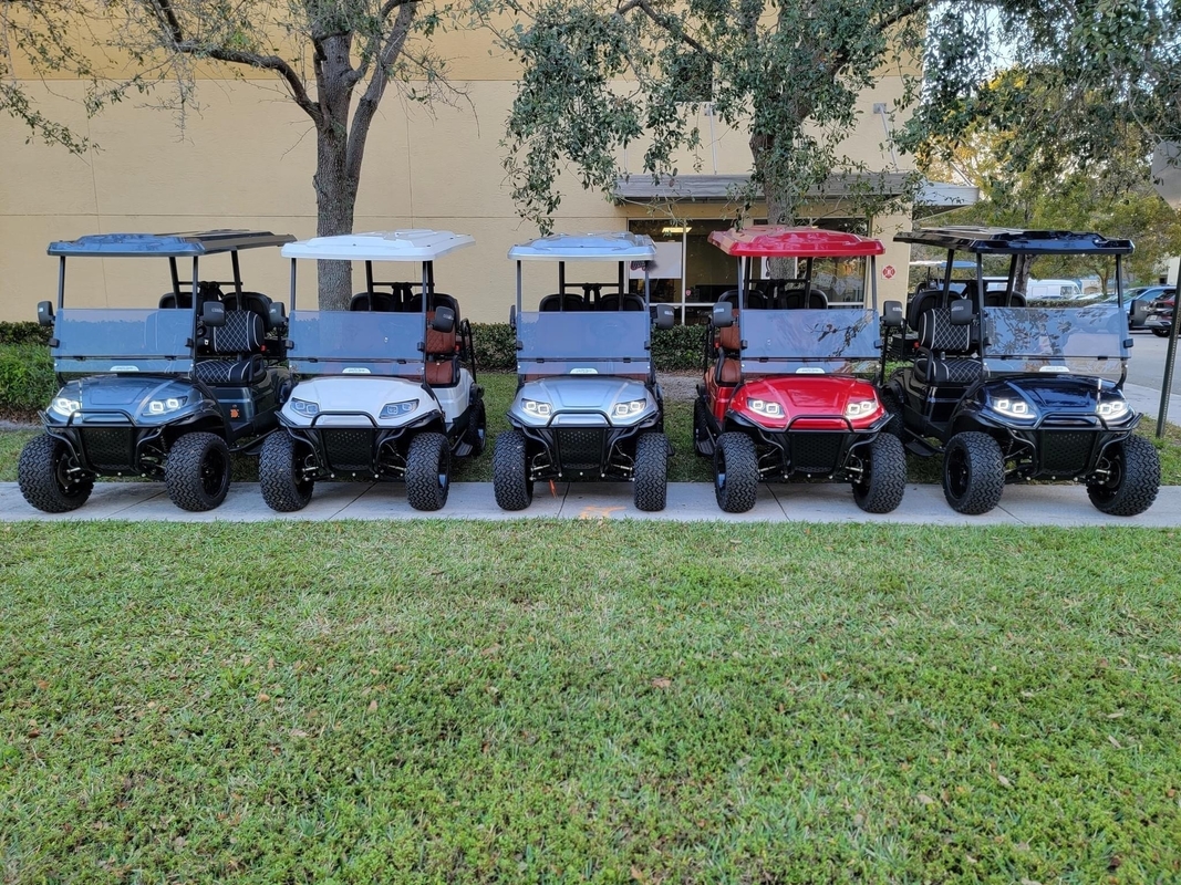 EV2+2 Elektryka Konfigurowalny Kolor TOP Samochód golfowy High End Możliwość rozbudowy
